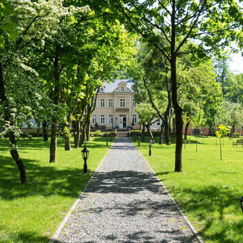 freepik__ultra-realistic-summer-park-scene-leading-to-a-cla__88033